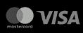 logo of mastercard, visa, МИР